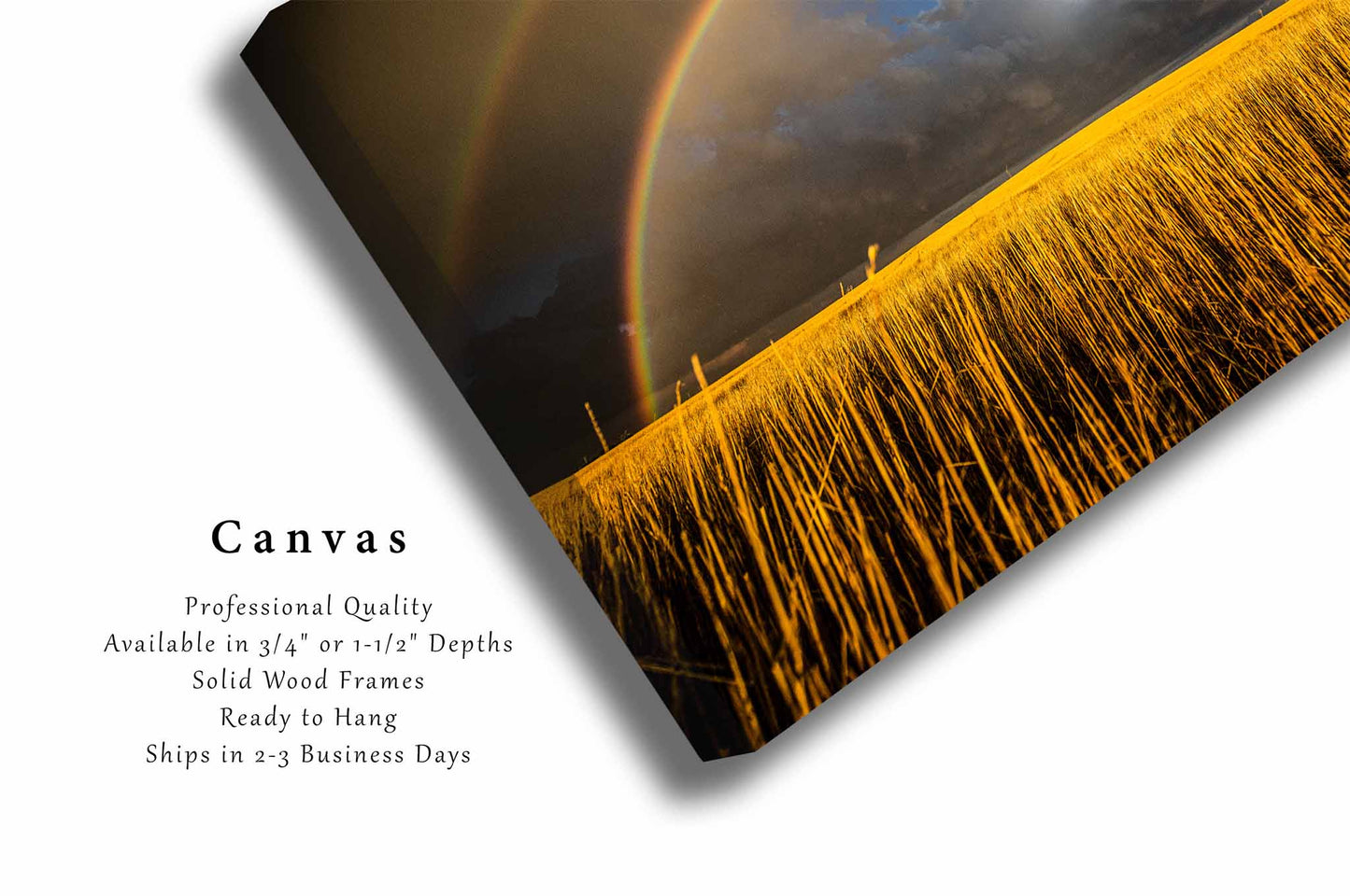 Double Rainbow Canvas | Majestic Sky Gallery Wrap | Great Plains Photography | Kansas Wall Art | Nature Decor | Ready to Hang