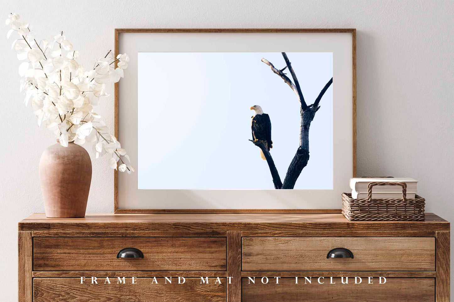 Bald Eagle Photography Print | Wildlife Picture | National Bird Wall Art | Oklahoma Photo | Nature Decor | Not Framed