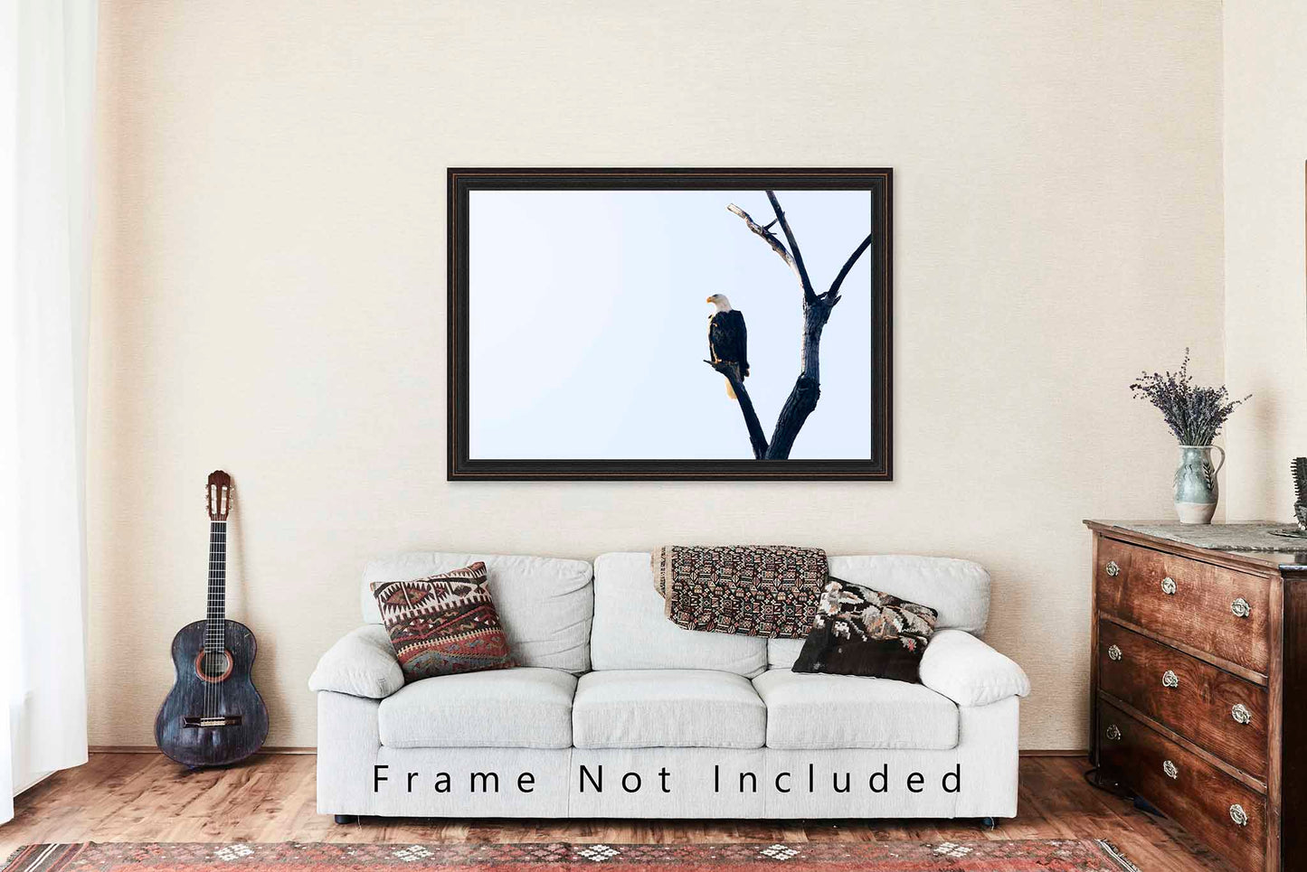 Bald Eagle Photography Print | Wildlife Picture | National Bird Wall Art | Oklahoma Photo | Nature Decor | Not Framed