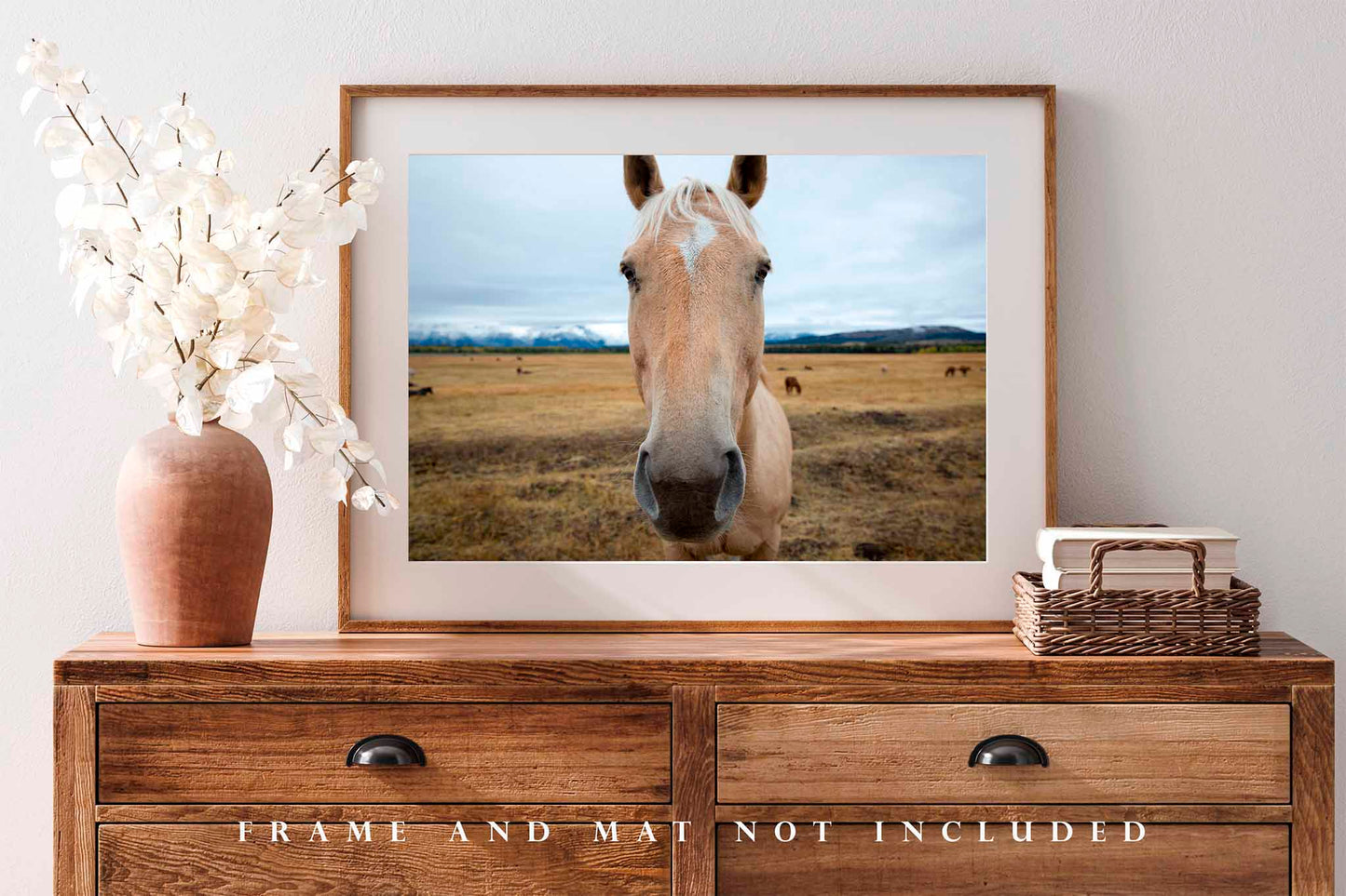 Horse Photography Print | Equine Picture | Grand Teton National Park Wall Art | Wyoming Photo | Western Decor | Not Framed