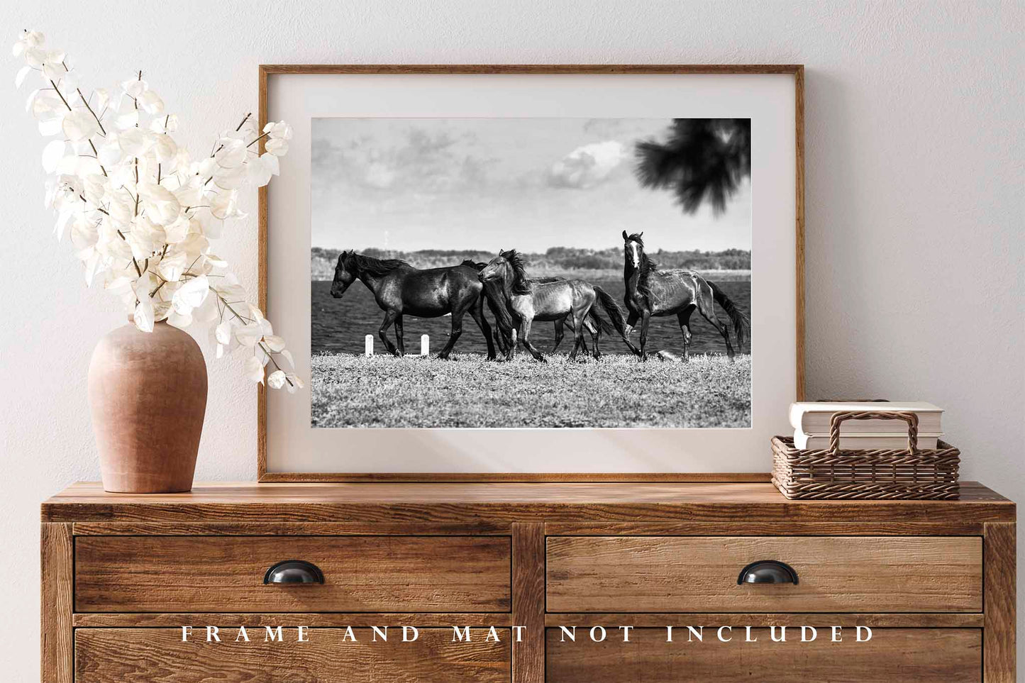 Wild Horses Along Coastal Inlet in North Carolina Photo Print (Unframed) | Black and White Outer Banks Wall Art OBX Decor