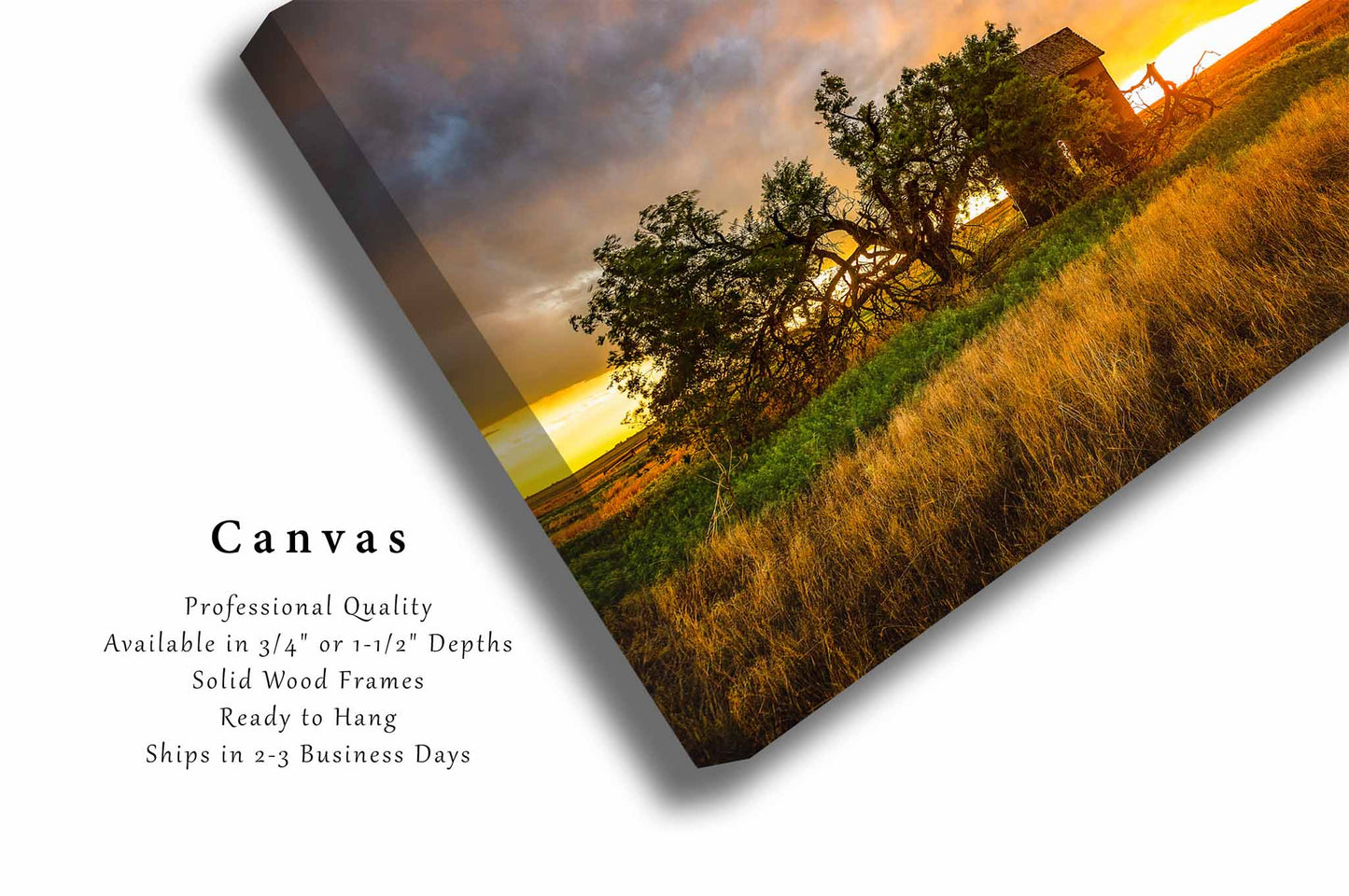Prairie Canvas | Barn and Windswept Tree Gallery Wrap | Stormy Sunset Photography | Oklahoma Wall Art | Great Plains Decor | Ready to Hang