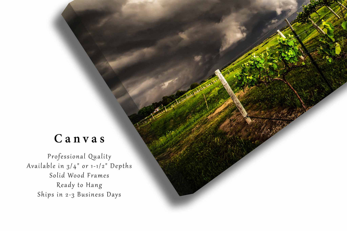 Storm Canvas | Nebraska Vineyard Grape Vines Thunderstorm Plains Weather Landscape