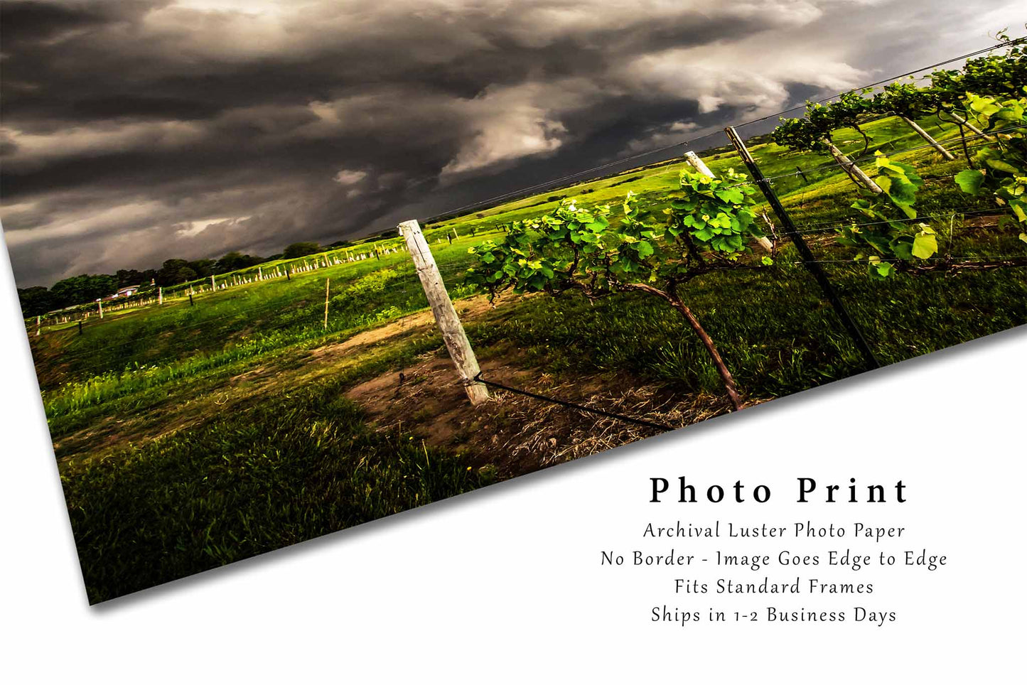 Storm Photography Print | Nebraska Vineyard Thunderstorm Landscape Plains Weather Decor | Unframed