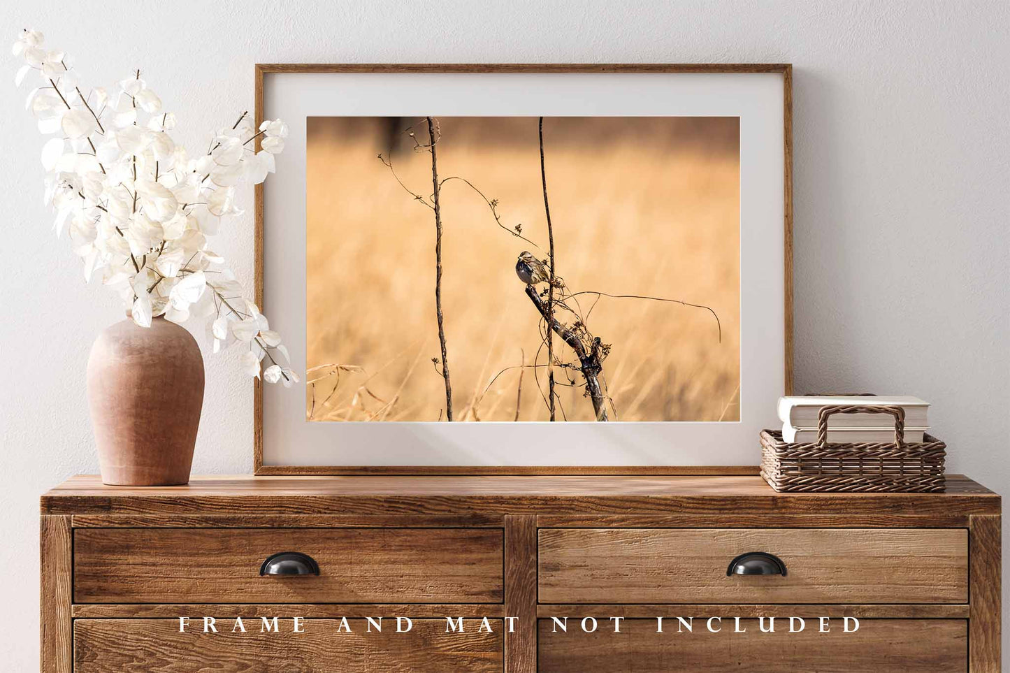 Bird Photography Print | Prairie Picture | Winter Wall Art | Oklahoma Photo | Nature Decor | Not Framed