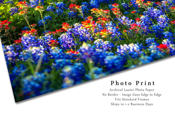 Wildflower Photo Print | Bluebonnets and Indian Paintbrush Picture | Texas Wall Art | Nature Photography | Country Decor