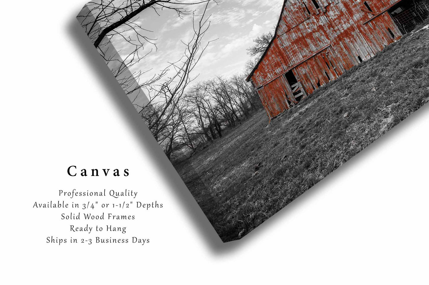 Country Canvas Wall Art | Rustic Barn Photo | Color on Black and White Gallery Wrap | Missouri Photography | Rural Picture | Farmhouse Decor