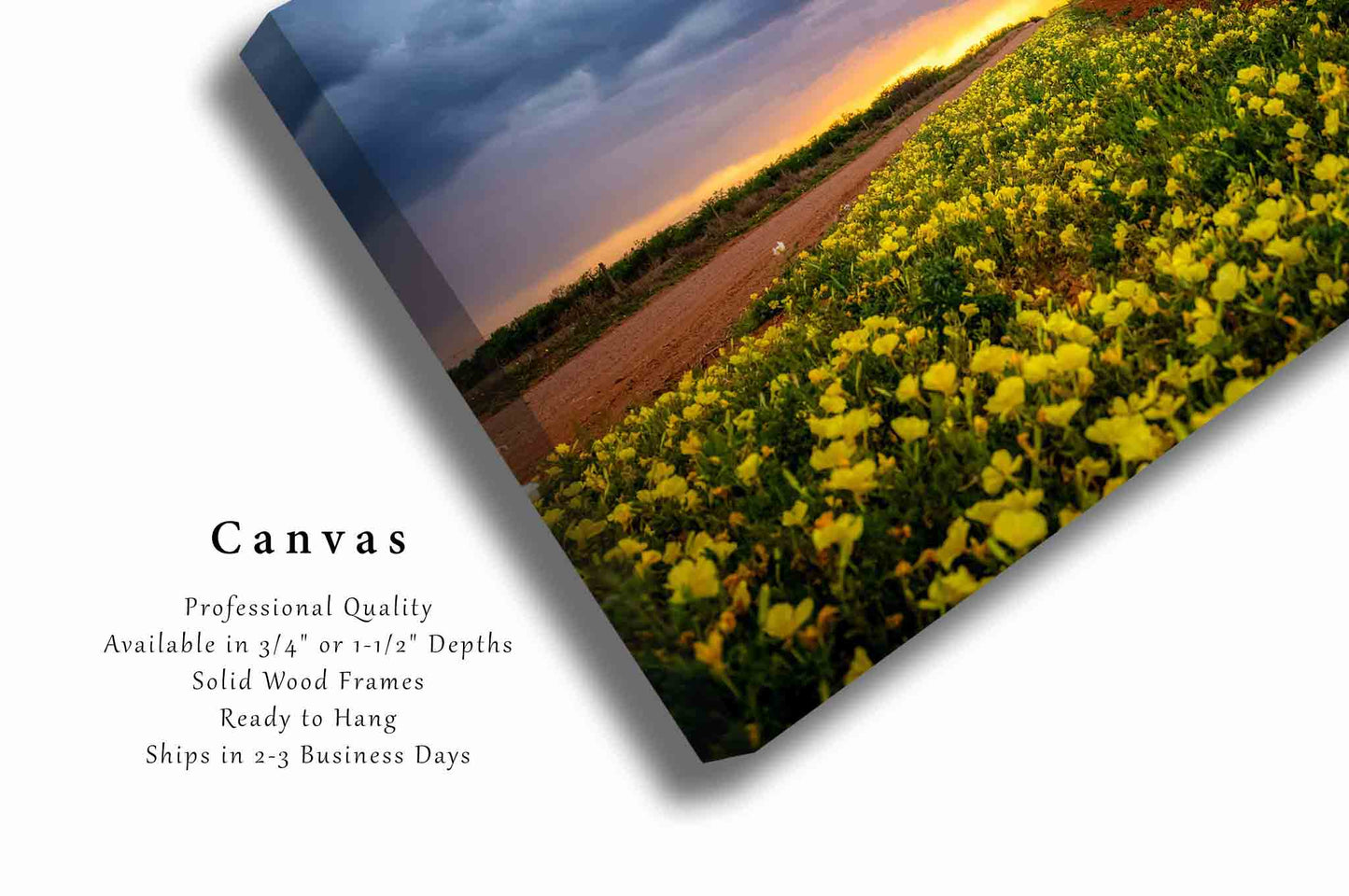 Wildflower Canvas | Country Landscape Gallery Wrap | Stormy Sunset Photography | Texas Wall Art | Great Plains Decor | Ready to Hang