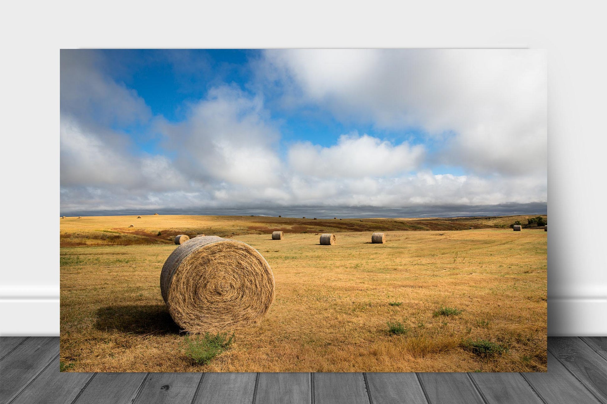 Northern Plains metal print on aluminum of round hay bales scattered across the prairie on an autumn day on the Pine Ridge Reservation in South Dakota by Sean Ramsey of Southern Plains Photography.