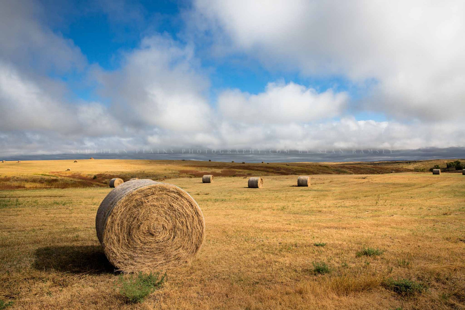 Great Plains photography print of round hay bales under a dreamy sky on an autumn day on the South Dakota prairie by Sean Ramsey of Southern Plains Photography.