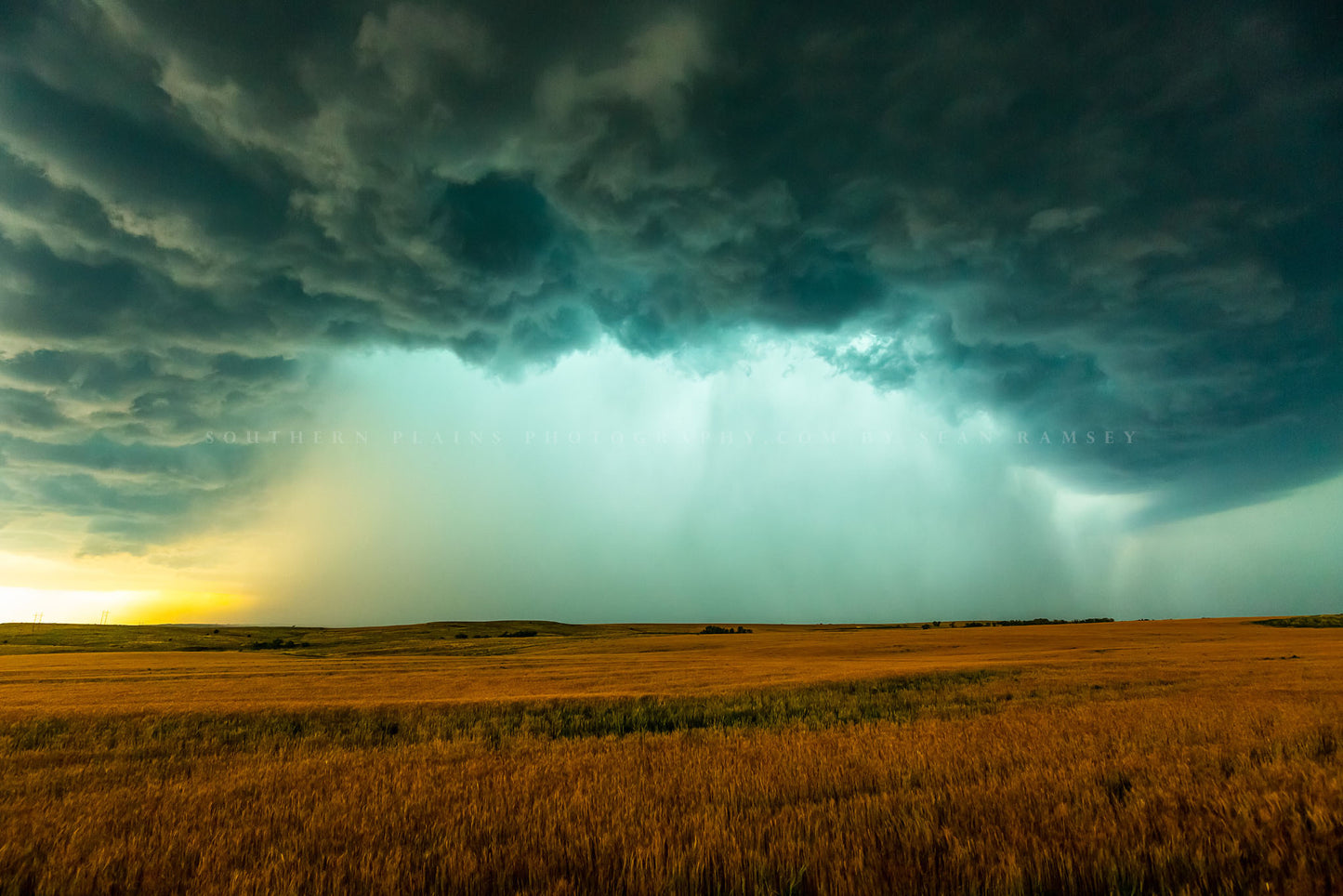 Storm photography print of a powerful supercell thunderstorm dropping a large amount of rain over an amber wheat field on a spring day in Oklahoma by Sean Ramsey of Southern Plains Photography.