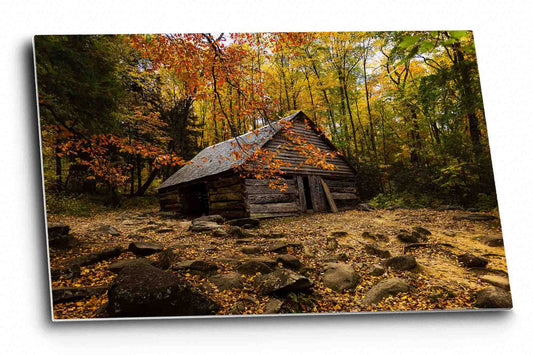 Country metal print on aluminum of an old barn surrounded by fall foliage on an autumn day in the Great Smoky Mountains near Gatlinburg, Tennessee by Sean Ramsey of Southern Plains Photography.