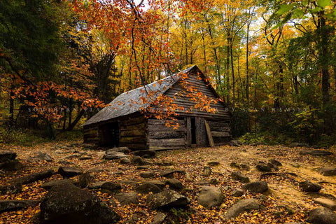 Country photography print of an old barn surrounded by fall foliage on an autumn day in the Great Smoky Mountains near Gatlinburg, Tennessee by Sean Ramsey of Southern Plains Photography. 