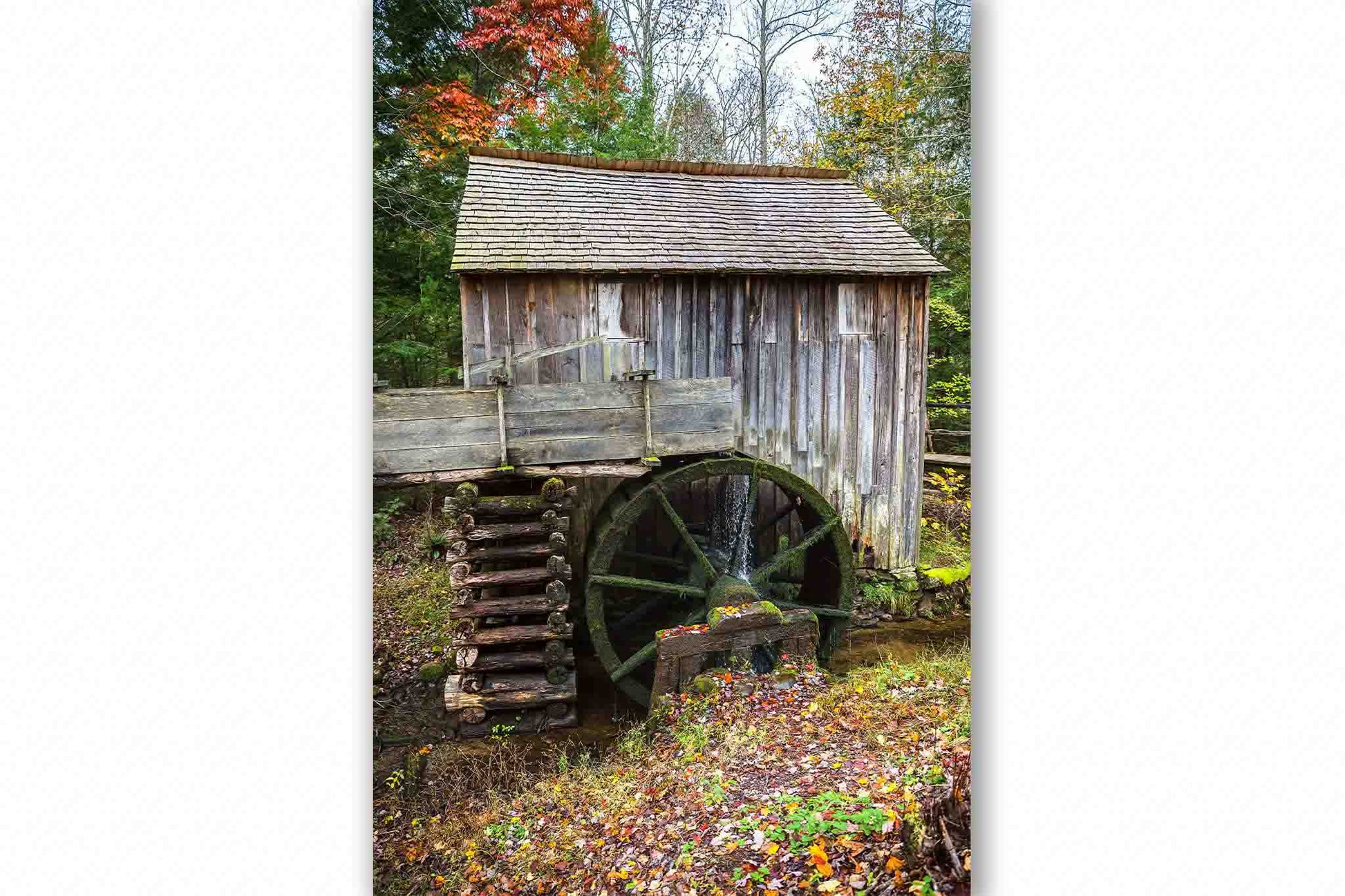 Vertical country photography print of the old John Cable saw mill on an autumn day in the Great Smoky Mountains of Tennessee by Sean Ramsey of Southern Plains Photography.