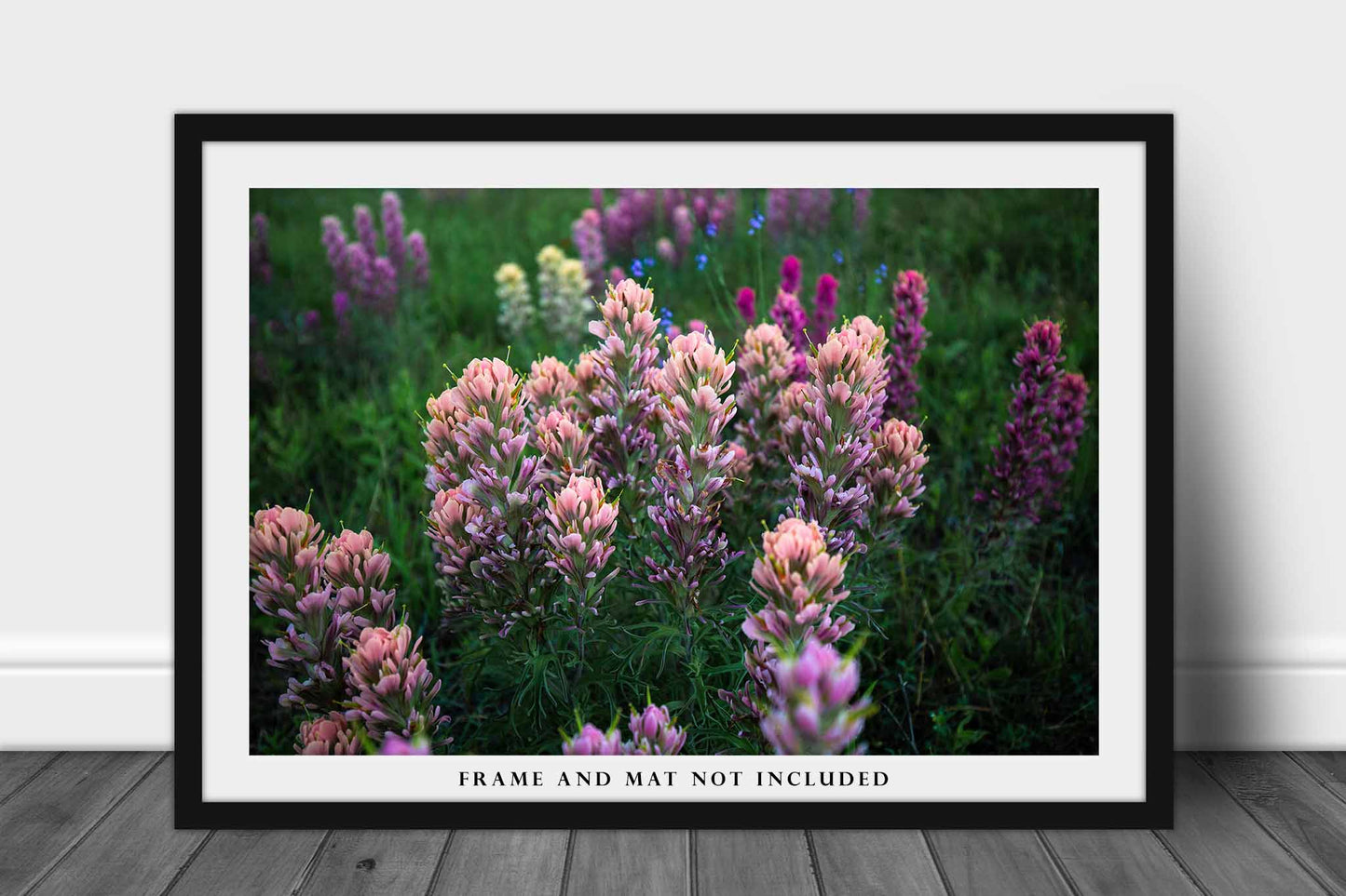 Floral Photo Print | Wildflower Picture | Texas Wall Art | Flower Photography | Botanical Decor