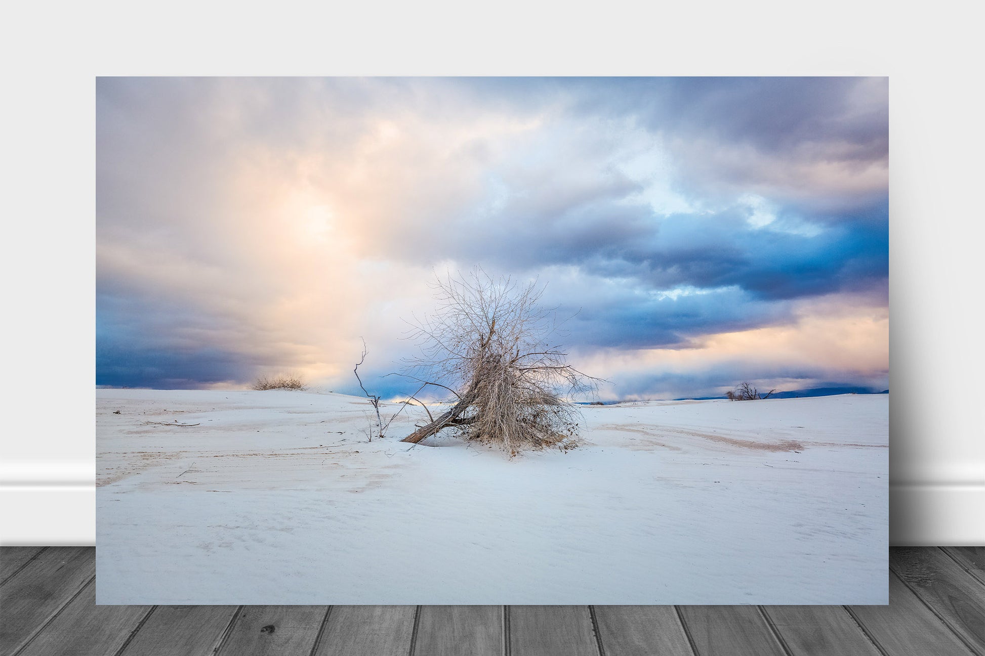 Southwestern aluminum metal print wall art of a tree under a dramatic morning sky at White Sands National Park near Alamogordo, New Mexico by Sean Ramsey of Southern Plains Photography.