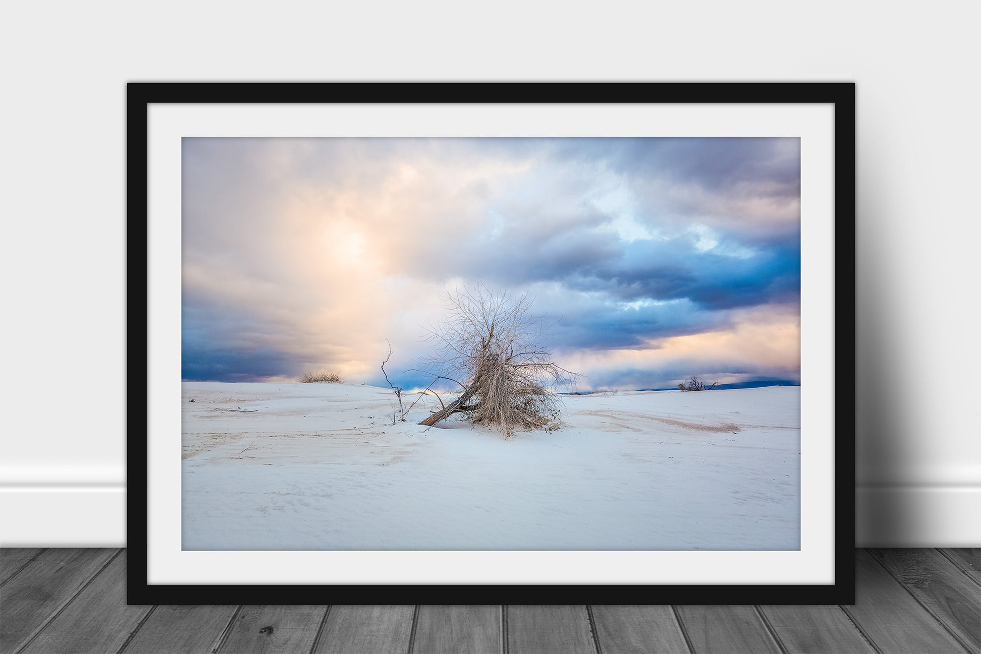 Framed and matted desert southwest print of a tree under a dramatic morning sky at White Sands National Park near Alamogordo, New Mexico by Sean Ramsey of Southern Plains Photography.
