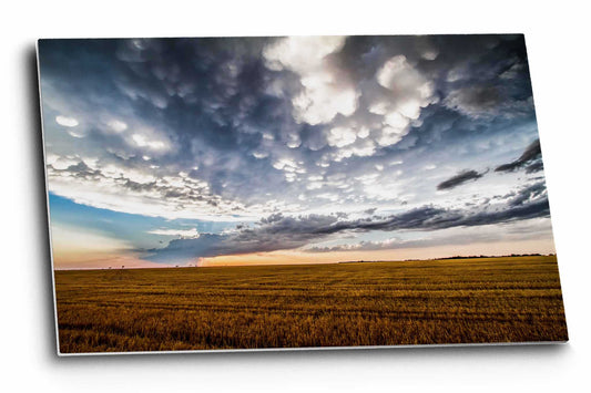 Scenic America metal print wall art of a spacious sky over a field at sunset after a stormy day in Texas by Sean Ramsey of Southern Plains Photography.