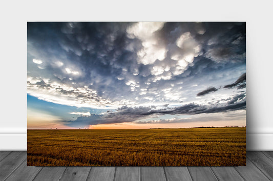 Great Plains metal print wall art of a scenic sky over a freshly cut wheat field after a stormy spring evening in Texas by Sean Ramsey of Southern Plains Photography.