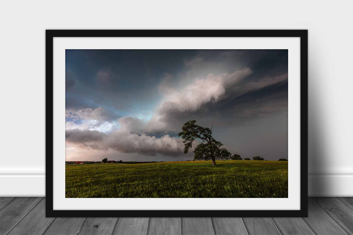 Framed thunderstorm print  wall art with optional mat of a lone tree bending toward storm clouds on a stormy day on the plains of Oklahoma by Sean Ramsey of Southern Plains Photography.