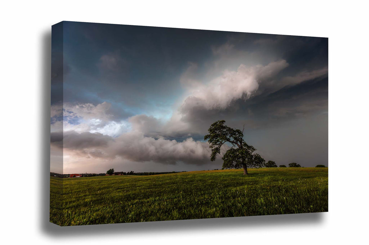 Thunderstorm gallery wrap canvas wall art of a lone tree bending toward storm clouds on a stormy day on the plains of Oklahoma by Sean Ramsey of Southern Plains Photography.