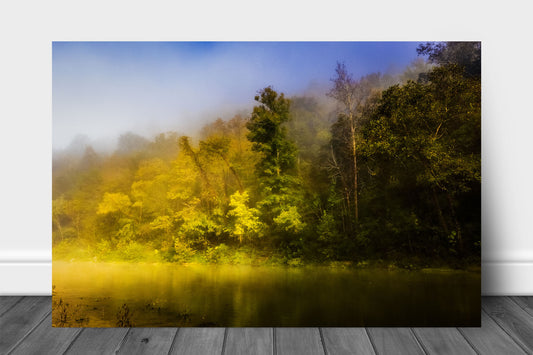 Forest aluminum metal print wall art of trees shrouded in fog along a riverbank on the Buffalo National River in the Ozark Mountains of Arkansas by Sean Ramsey of Southern Plains Photography.
