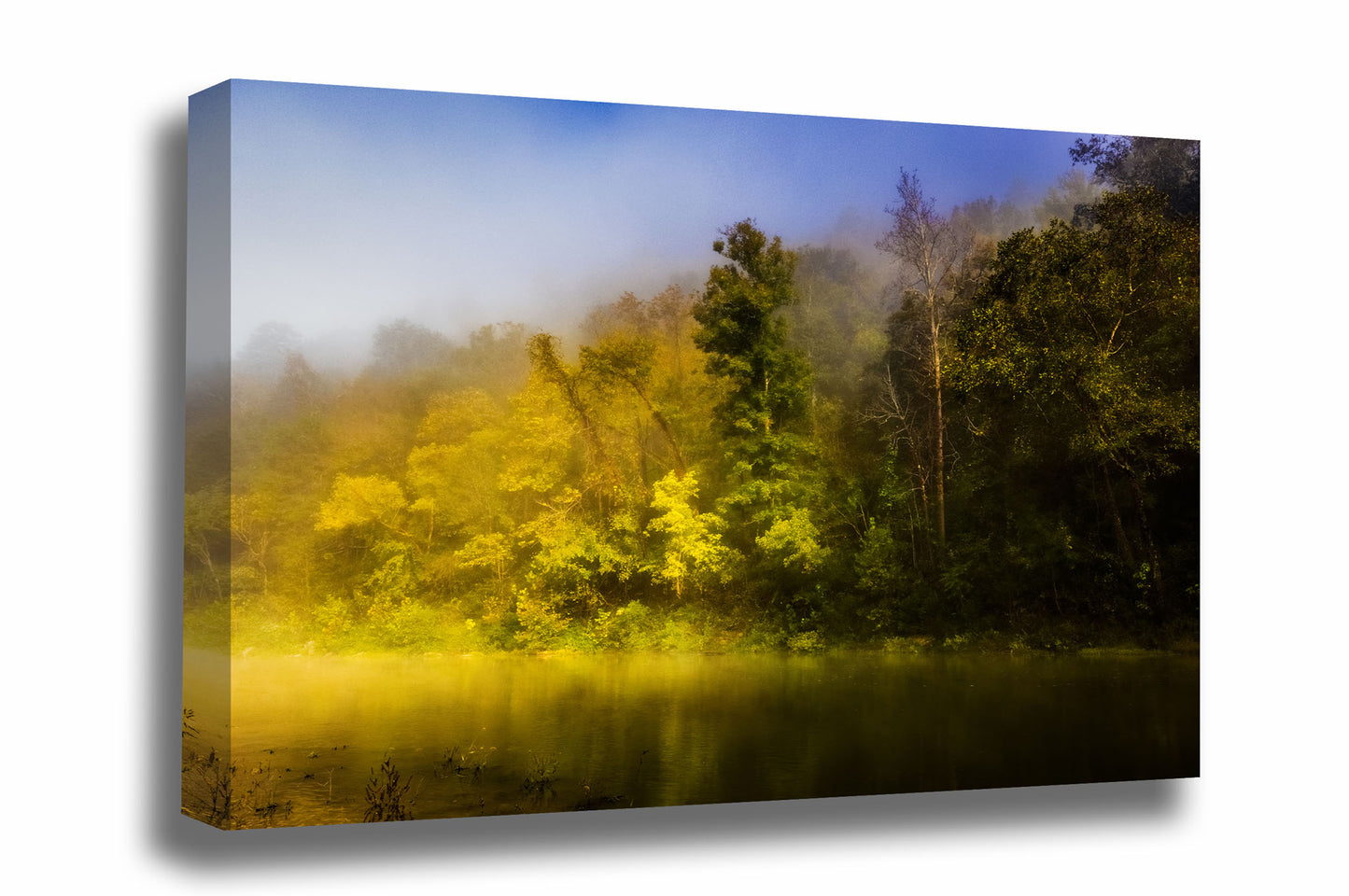 Forest gallery wrapped canvas wall art of trees shrouded in fog along a riverbank on the Buffalo National River in the Ozark Mountains of Arkansas by Sean Ramsey of Southern Plains Photography.