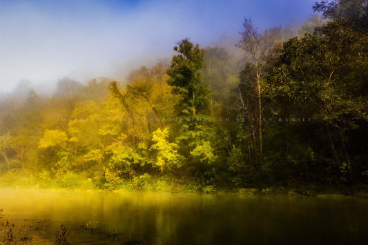 Forest photography print of trees shrouded in fog along a riverbank on the Buffalo National River in the Ozark Mountains of Arkansas by Sean Ramsey of Southern Plains Photography.