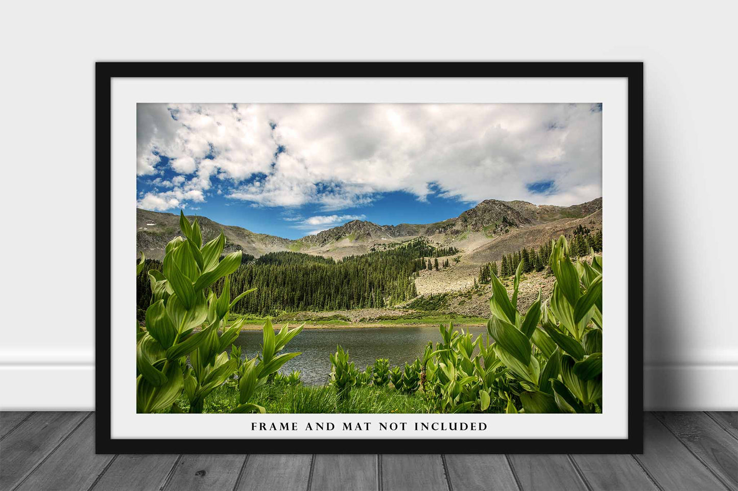 Williams Lake Photography Print | Taos Ski Valley Picture | Rocky Mountain Wall Art | New Mexico Landscape Photo | Nature Decor | Not Framed