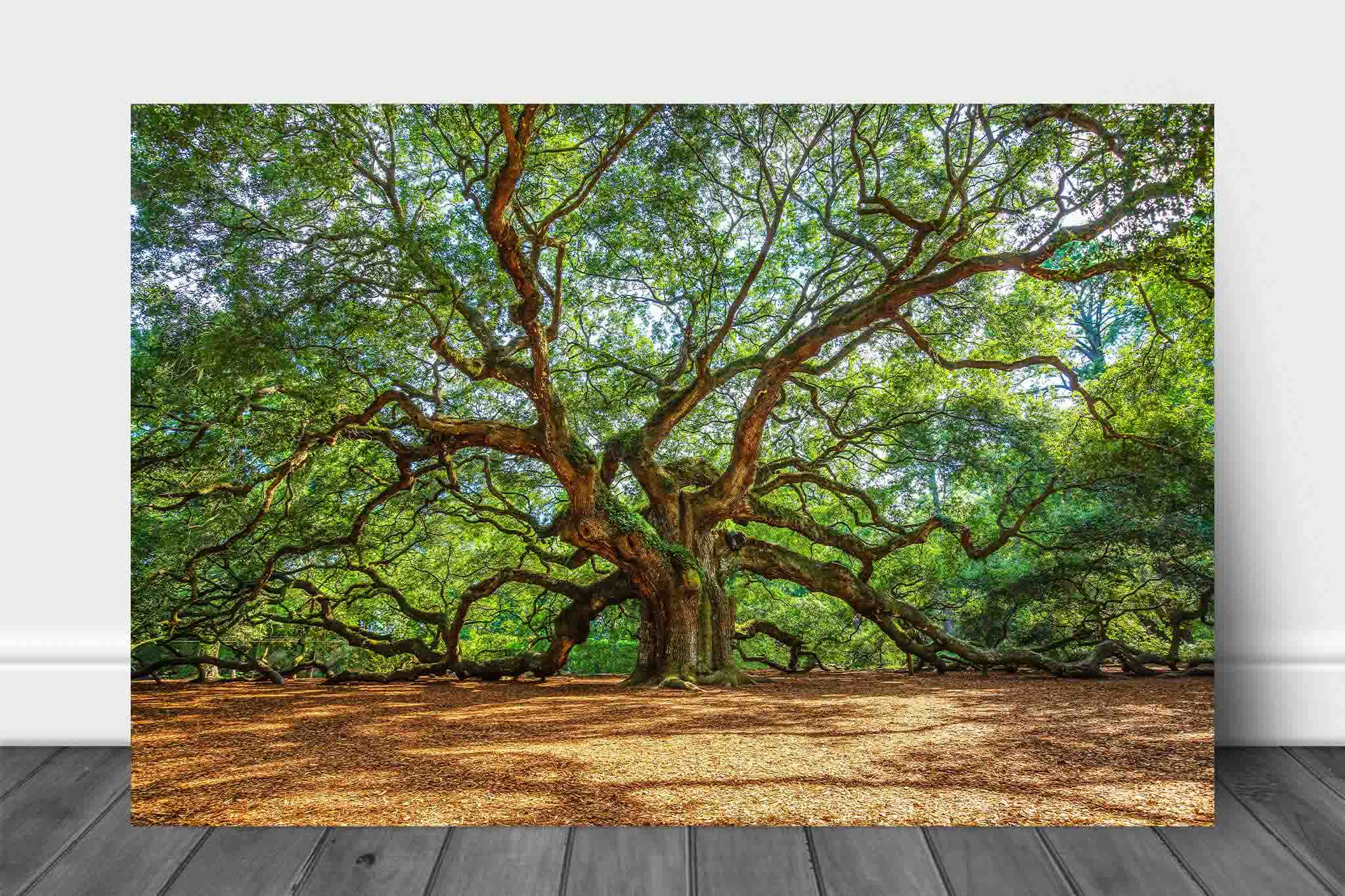 PRINTS Oak Trees outlet - Beneath the holy oaks - oak tree art, canvas or HD metal, Nature Lover Prints, Peaceful, Calm, Garden, great gift item