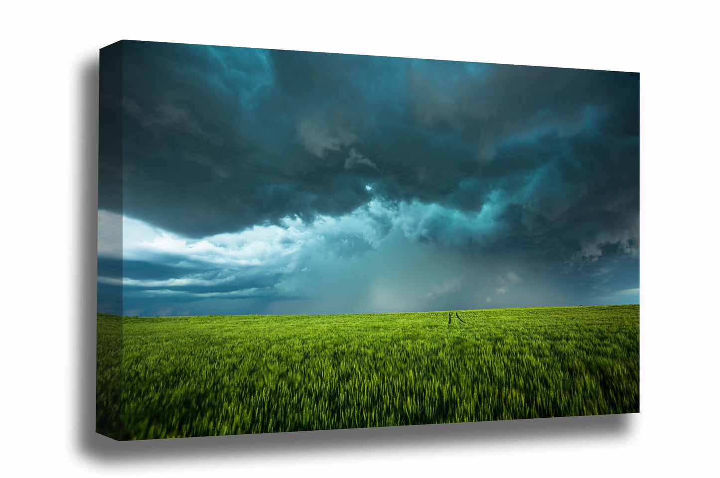 Storm canvas wall art of a teal hued thunderstorm over lush green wheat on a stormy spring day in Kansas by Sean Ramsey of Southern Plains Photography.