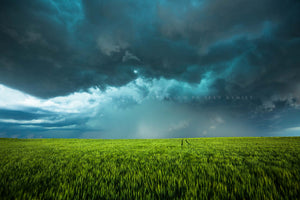 Storm photography print of a thunderstorm with a teal hue over a lush green wheat field on a stormy spring day in Kansas by Sean Ramsey of Southern Plains Photography.