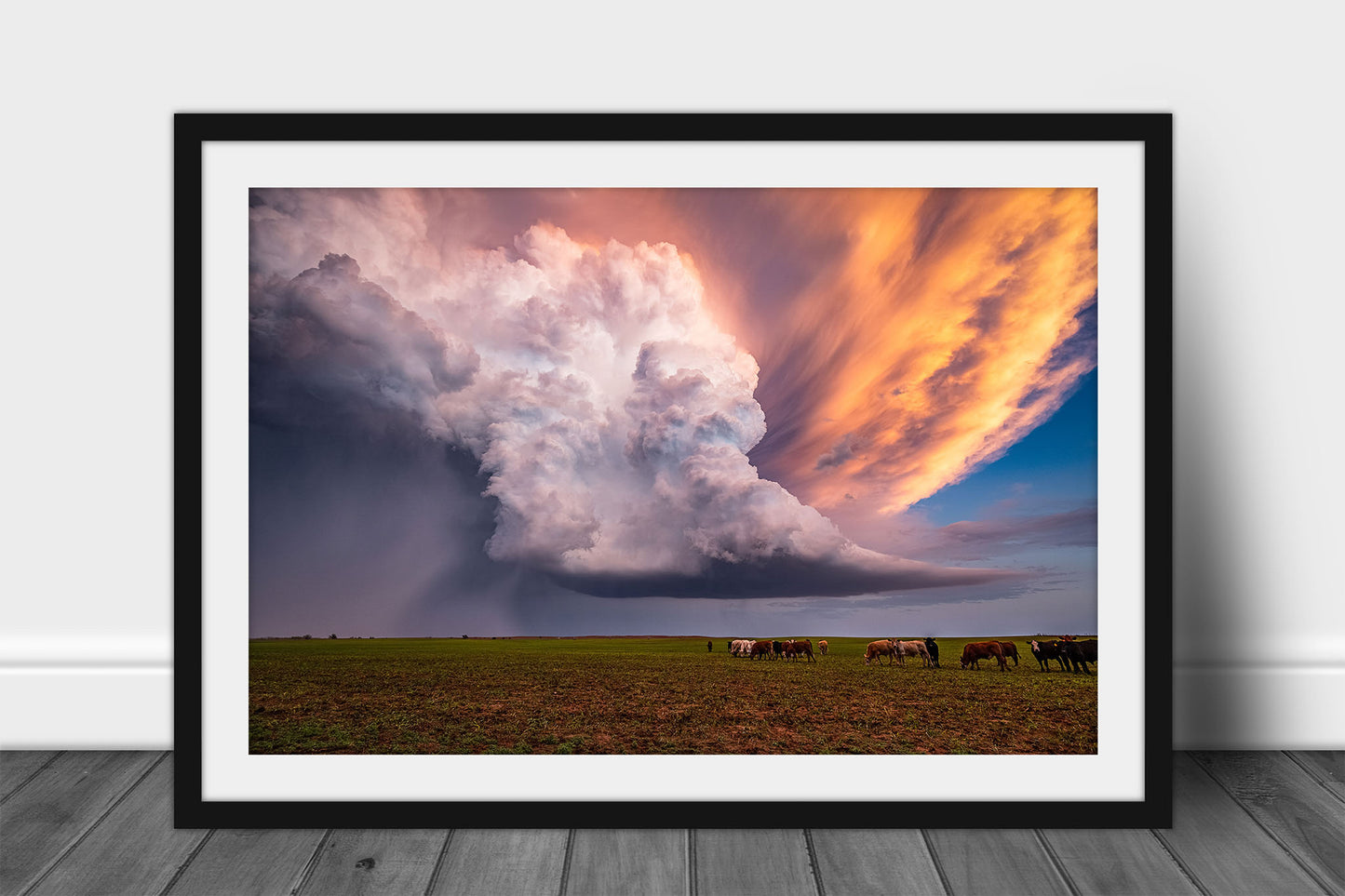 Framed and matted storm print of a supercell thunderstorm erupting over a field full of cattle on a stormy spring evening in Kansas by Sean Ramsey of Southern Plains Photography.