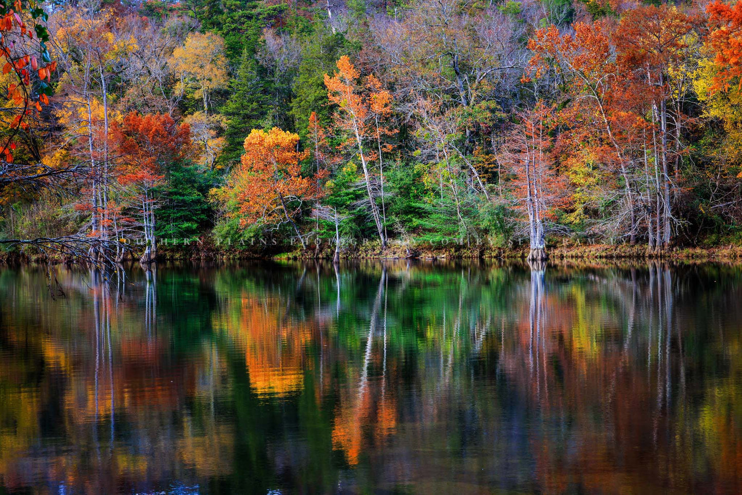 Forest Photography Print (Not Framed) Picture of Trees with Fall Foliage Reflecting in River at Beavers Bend State Park Oklahoma Autumn Wall Art Nature Decor