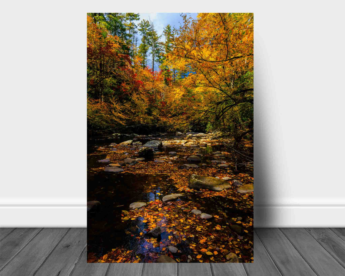 Vertical autumn forest landscape aluminum metal print wall art of fall colors along a creek in the Great Smoky Mountains of North Carolina by Sean Ramsey of Southern Plains Photography.