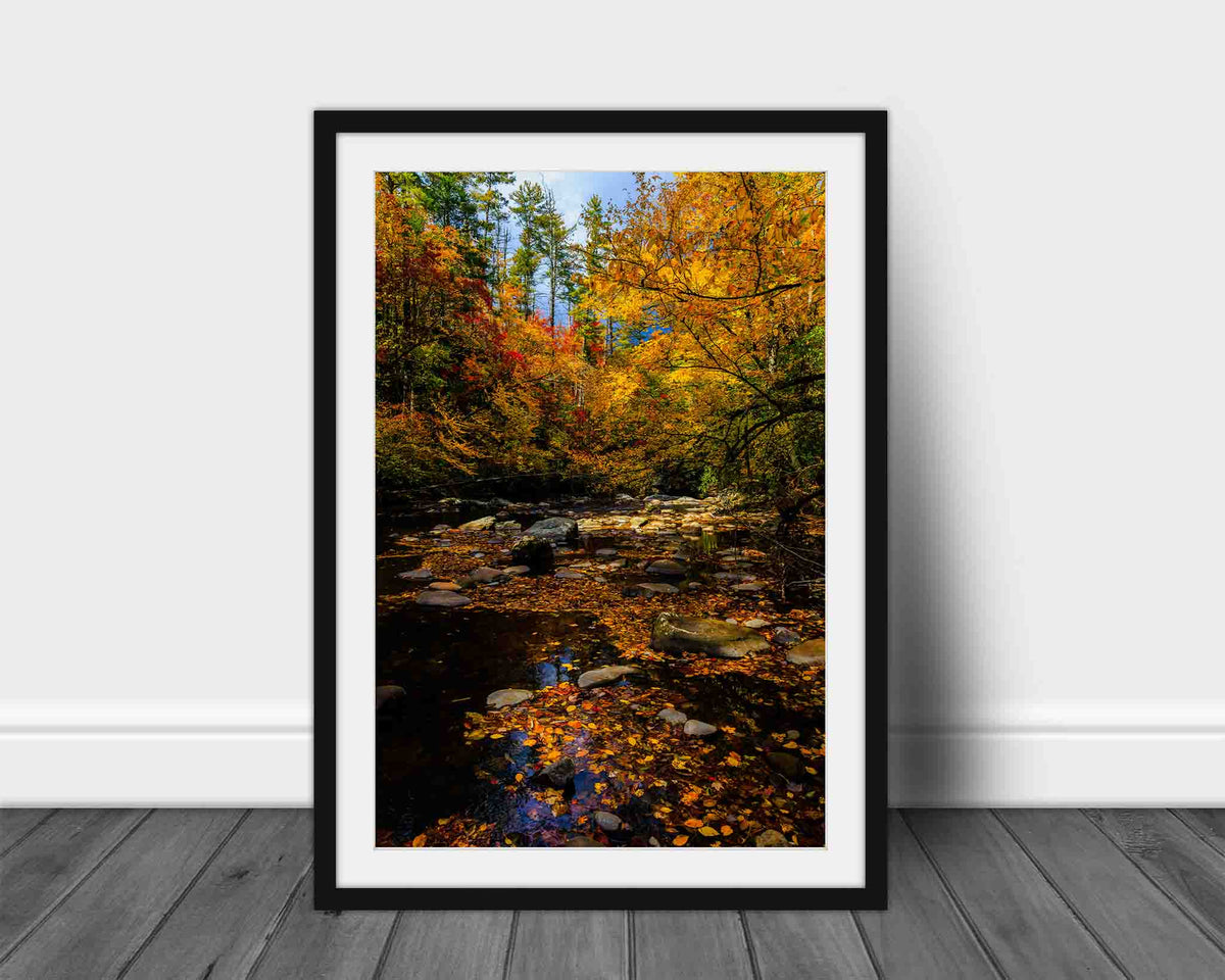Vertical Autumn forest landscape framed print wall art of fall colors along a creek in the Great Smoky Mountains of North Carolina by Sean Ramsey of Southern Plains Photography.