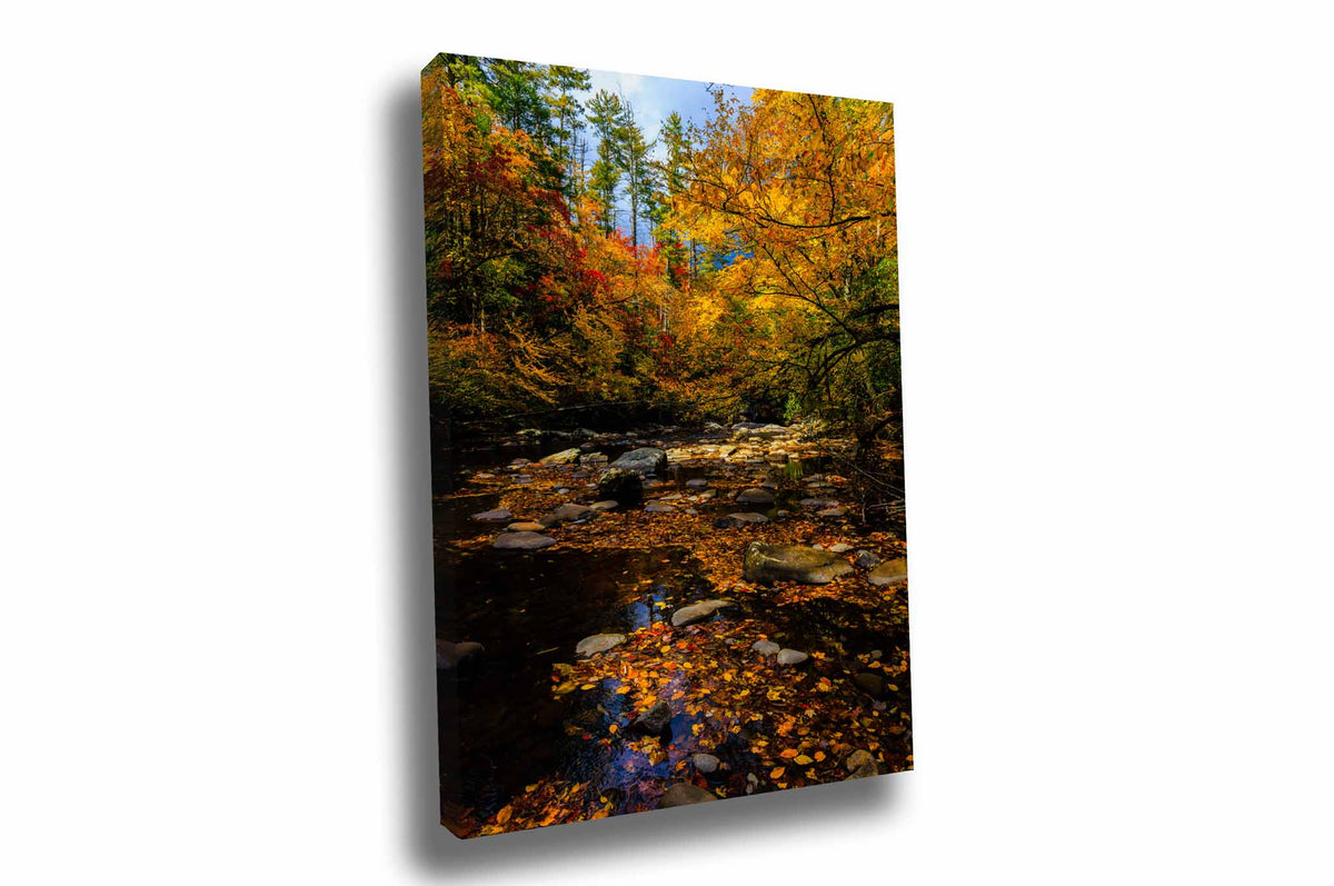 Vertical autumn forest landscape gallery wrap canvas wall art of fall colors along a creek in the Great Smoky Mountains of North Carolina by Sean Ramsey of Southern Plains Photography.