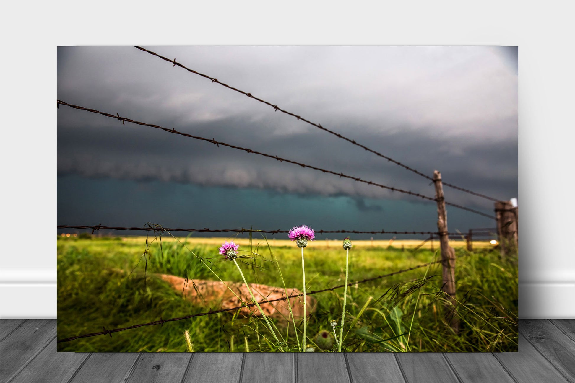 Country metal print on aluminum of pink thistle flowers and a barbed wire fence as a storm approaches on a spring day in Texas by Sean Ramsey of Southern Plains Photography.