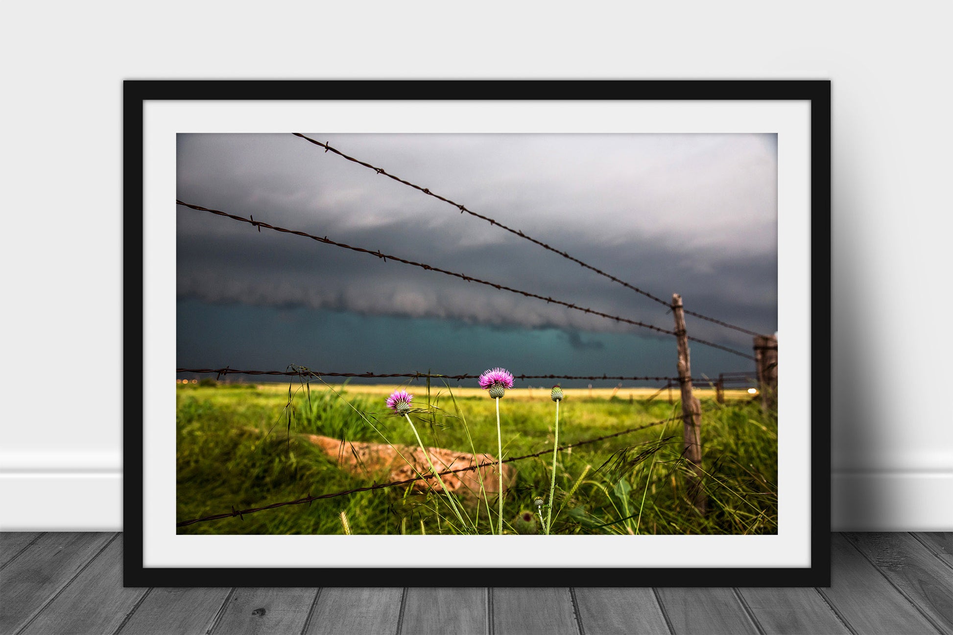 Framed and matted country print of a pink thistle wildflower in front of a barbed wire fence as a storm approaches on a stormy spring day in Texas by Sean Ramsey of Southern Plains Photography.