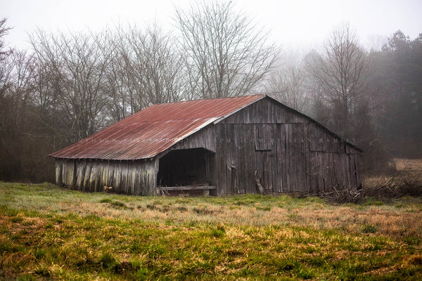 Country photography print of an old barn nestled in trees on a foggy spring day in Arkansas by Sean Ramsey of Southern Plains Photography.