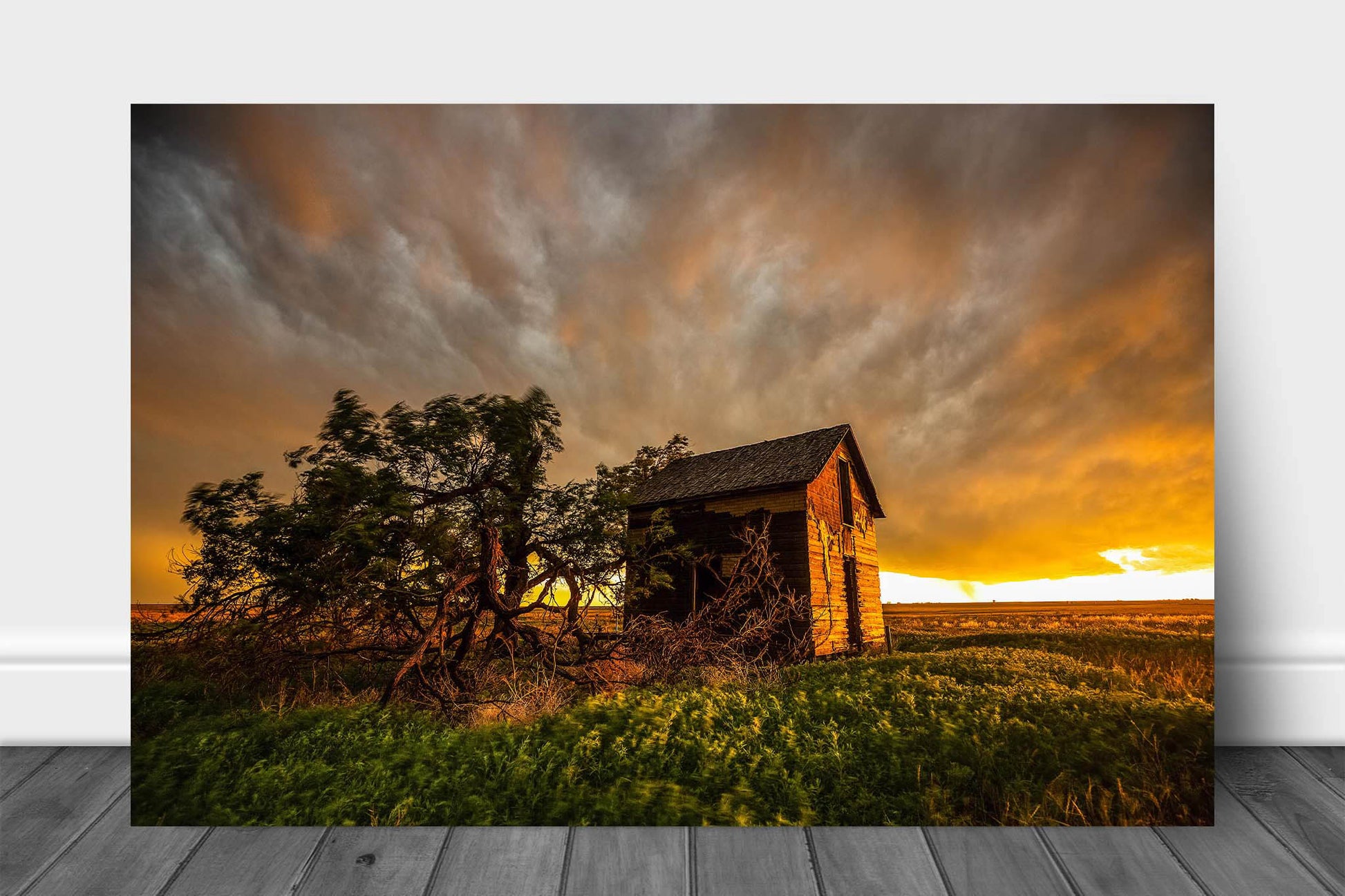 Modern country aluminum metal print of a red barn and windswept tree under a stormy sky at sunset on the plains of Oklahoma by Sean Ramsey of Southern Plains Photography.