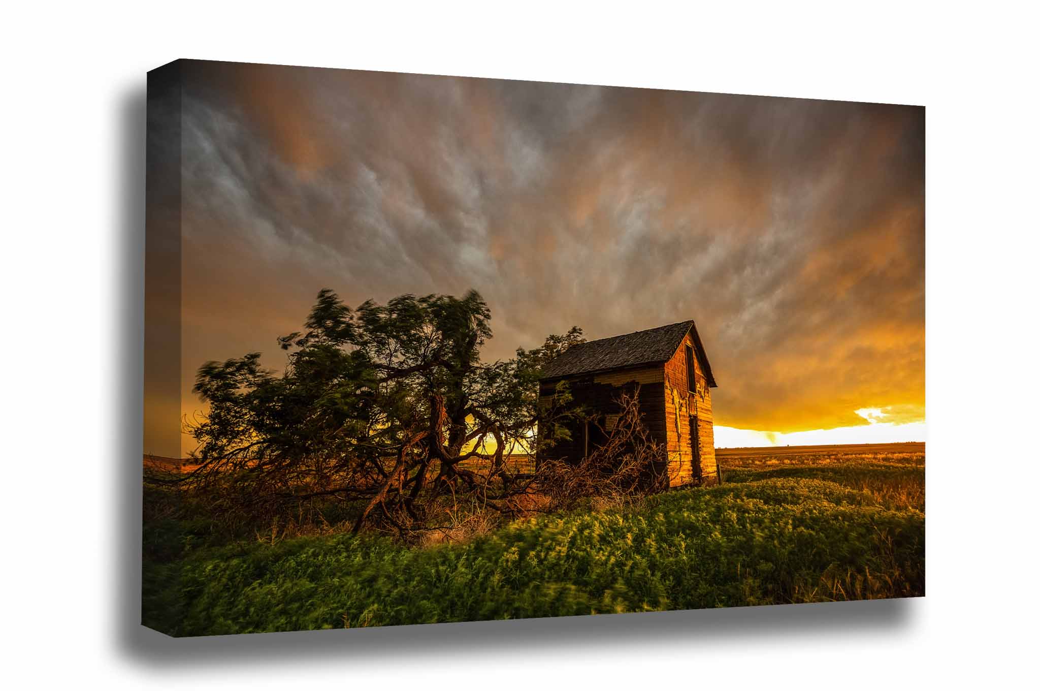 Country canvas wall art of an old red barn and windswept tree under a dramatic stormy sky at sunset in Oklahoma by Sean Ramsey of Southern Plains Photography.