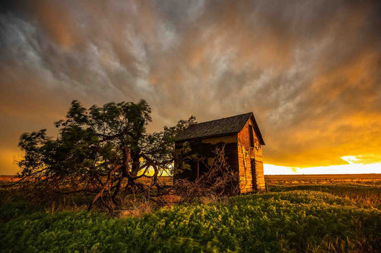 Dramatic country photography print of an old red barn and windswept tree under a stormy sky at sunset on a spring evening in Oklahoma by Sean Ramsey of Southern Plains Photography.