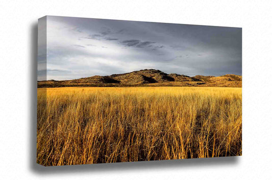 Wichita Mountains canvas wall art of a granite mountain overlooking golden prairie grass on an autumn day near Lawton, Oklahoma by Sean Ramsey of Southern Plains Photography.