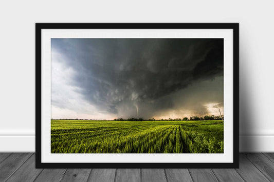 Framed and matted storm print of a tornado emerging from rain within a thunderstorm over a wheat field on a stormy spring day in Kansas by Sean Ramsey of Southern Plains Photography.