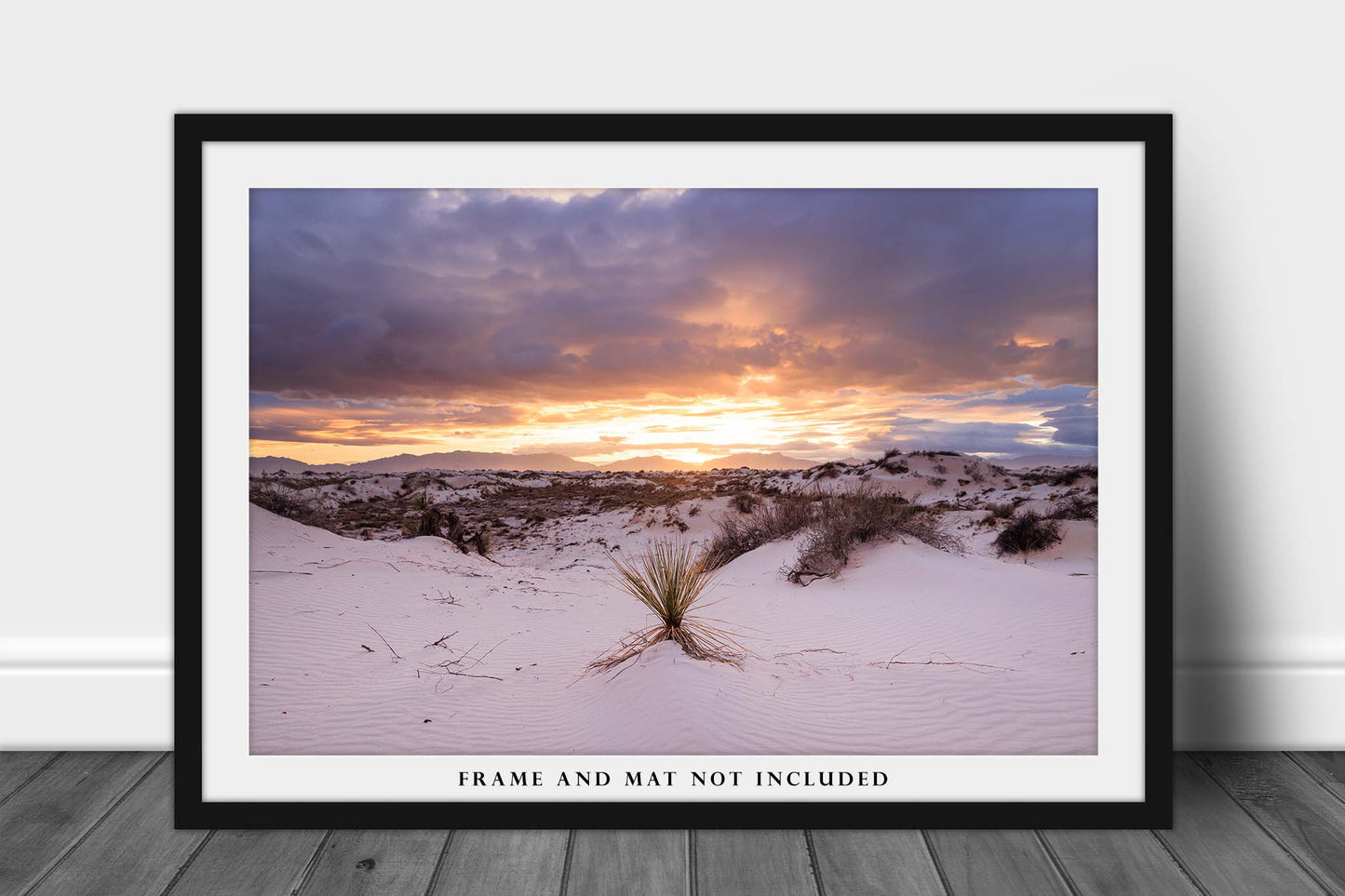 White Sands National Park Photography Print (Not Framed) Picture of Lone Yucca Plant Among Sand Dunes at Sunset in New Mexico Desert Nature Decor