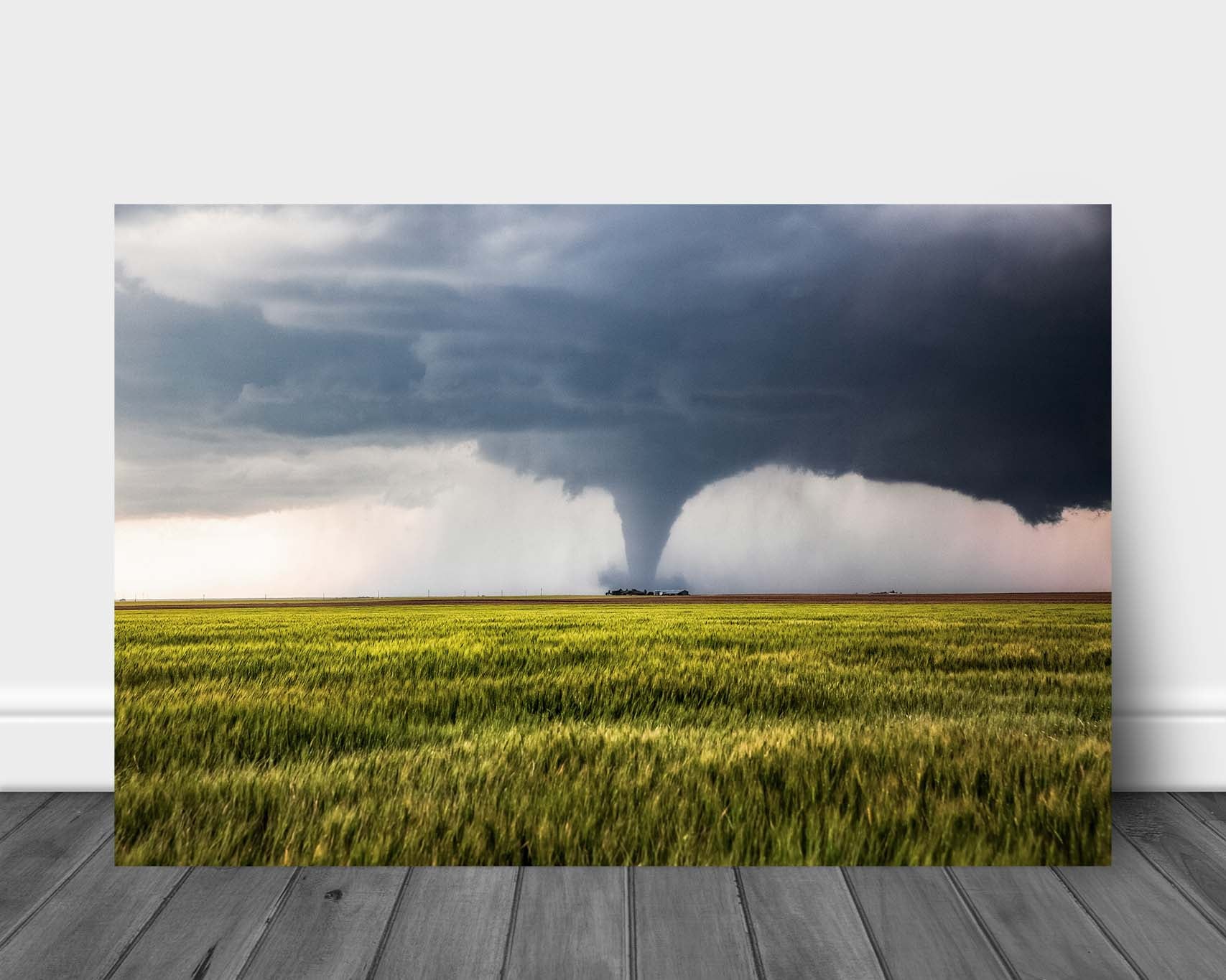 Storm metal print on aluminum of a large tornado passing safely behind a farmhouse in a wheat field on a stormy spring day in Kansas by Sean Ramsey of Southern Plains Photography.