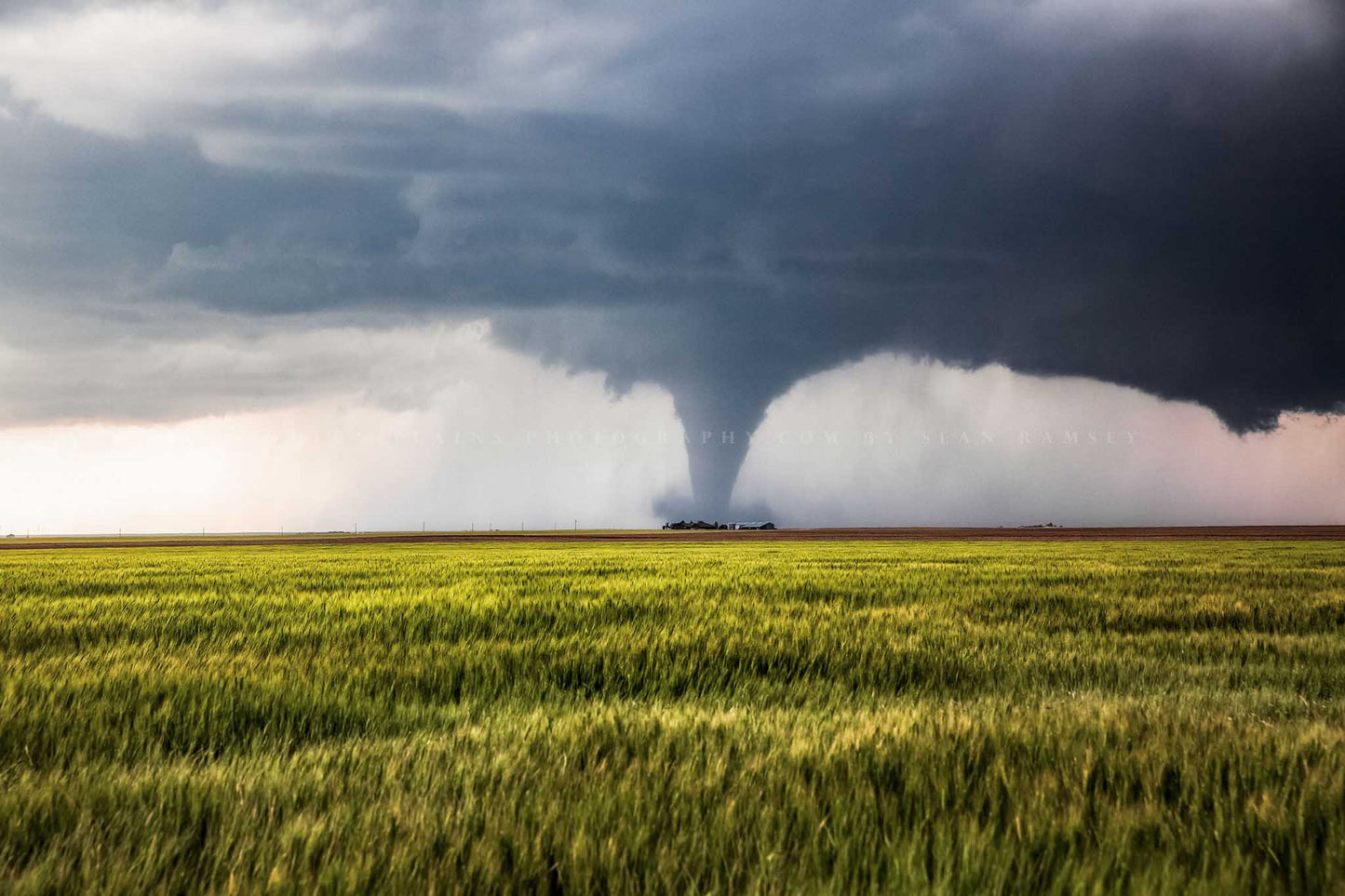 Storm photography print of a large tornado over a wheat field passing behind a farmhouse on a stormy spring day in Kansas by Sean Ramsey of Southern Plains Photography.