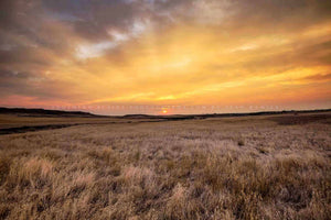 Great plains photography print of a warm sunrise over golden prairie grass on an autumn morning in Montana by Sean Ramsey of Southern Plains Photography.