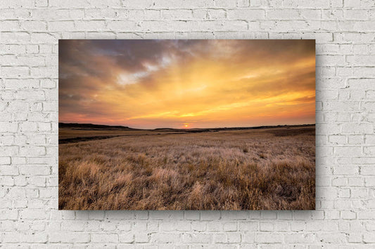 Western metal print on aluminum of a golden sunrise over the prairie on an autumn morning on the northern plains of Montana by Sean Ramsey of Southern Plains Photography.